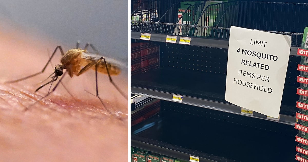 This store had to put a limit on bug spray purchases during worst mosquito season in years