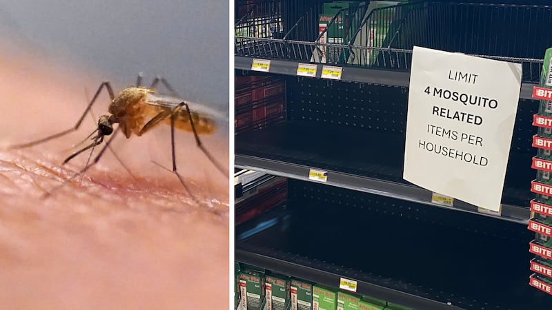 This store had to put a limit on bug spray purchases during worst mosquito season in years