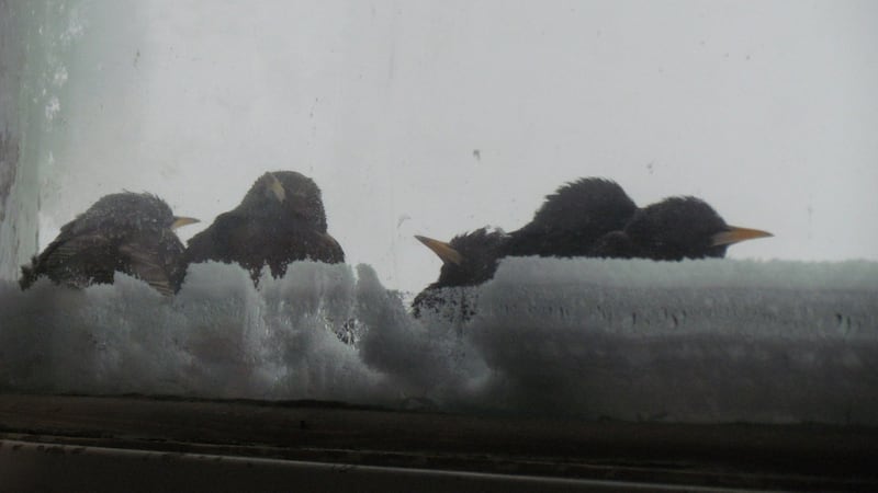 Sunny skies and warm weather headed to Calgary for the weekend