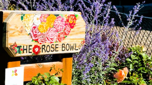 2026 marks the 20th anniversary of Calgary's Botanical Gardens of Silver Springs.