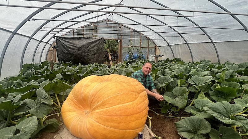 Pothole the 480-kilogram pumpkin on track to outgrow Newfoundland's famed Gourdzilla