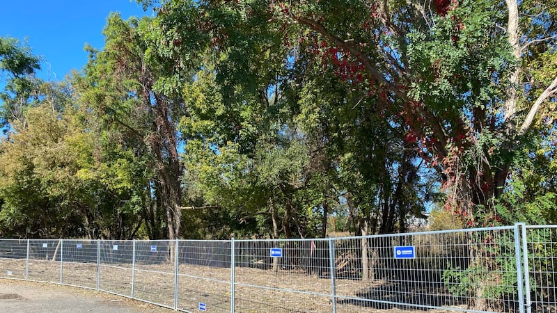 Barrie’s encampment crackdown: A month of emergency measures and political appeals