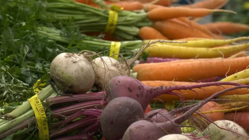 Regina Farmers’ Market extends ‘nutrition coupons’ program