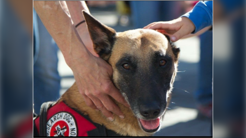 NSR says goodbye to 'beloved' search and rescue dog
