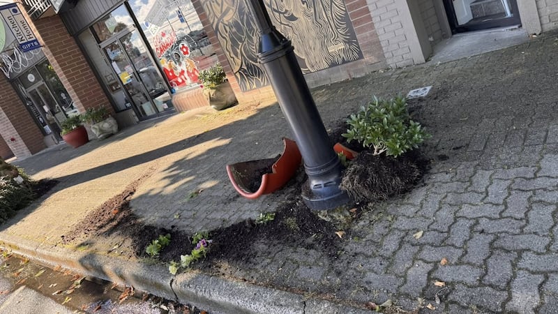 ‘Disrespectful’ downtown damage prompts Campbell River RCMP appeal for witnesses