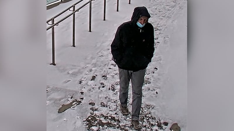 Thief used hatchet to steal backpack from man at LRT station: Edmonton police