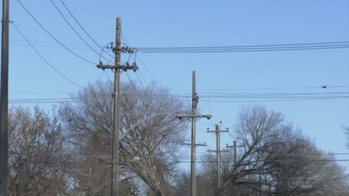 SaskPower to begin wood power pole inspections for 2026