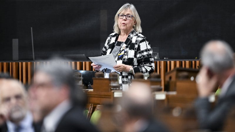 Elizabeth May says Greens can win byelection by campaigning on PM's climate record