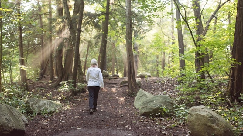 Connecting with nature, here’s how