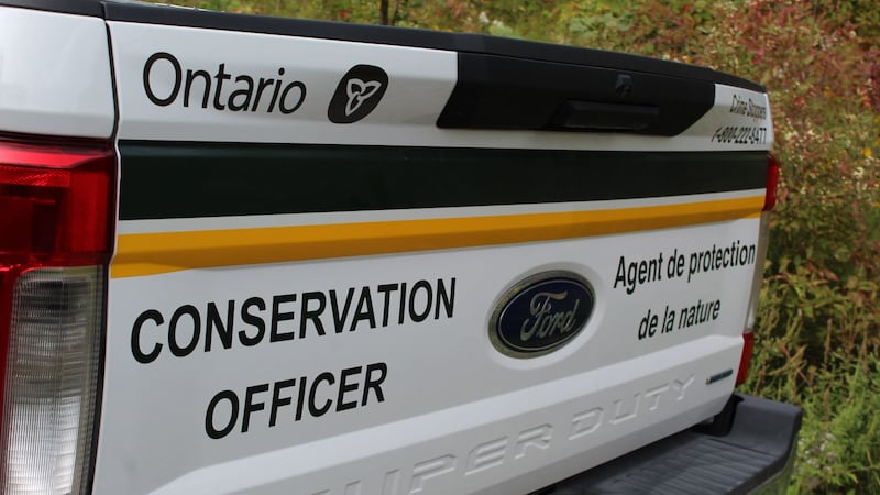 Aylmer resident fined $3,000 in unlawful deer hunt