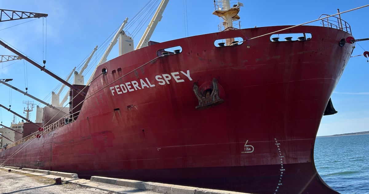 ‘The risk is there’: Researchers warn of environmental impact as shipping ...