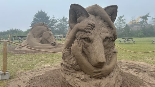 A wolf head sand sculpture is pictured. (CTV/Avery MacRae)