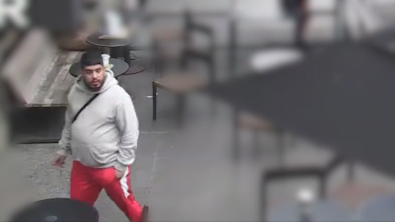 Suspect in fatal Vancouver stabbing did not have 'intent to kill,' defence says