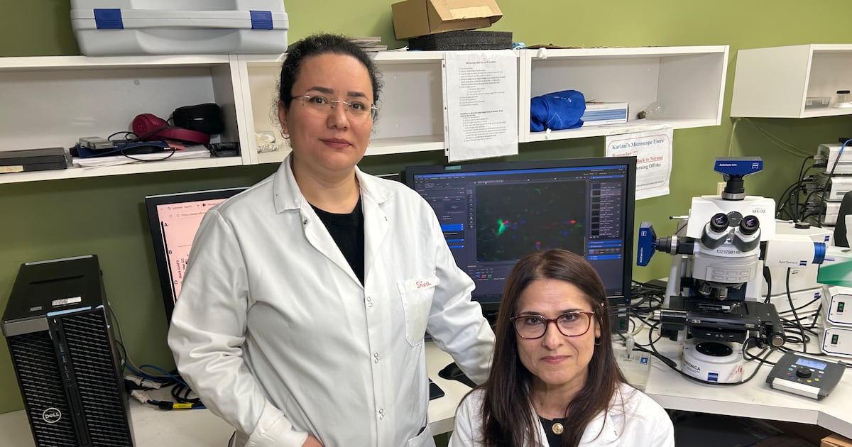 ‘It is exciting’: Manitoba researchers find potential breakthrough for Multiple Sclerosis treatment - CTV News