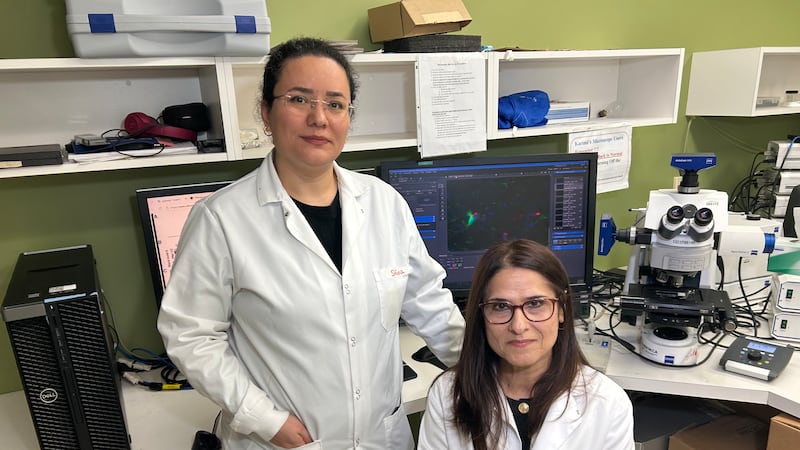 ‘It is exciting’: Manitoba researchers find potential breakthrough for Multiple Sclerosis treatment