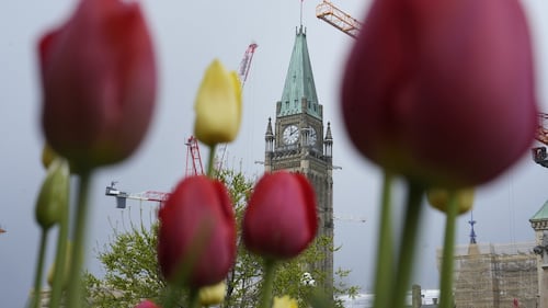 The House of Commons is on its summer break — here's a list of the bills it passed