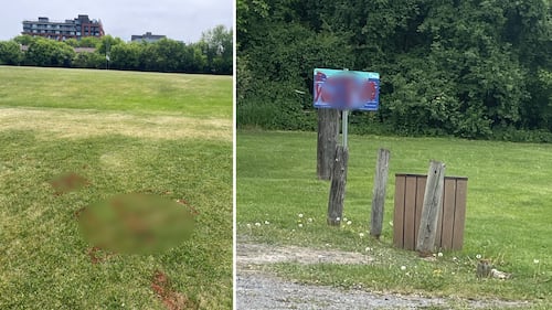 Ottawa police seeking witnesses after swastikas spraypainted at Sandy Hill field