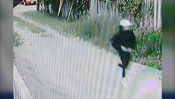 Windsor police looking for suspect in robbery and stabbing