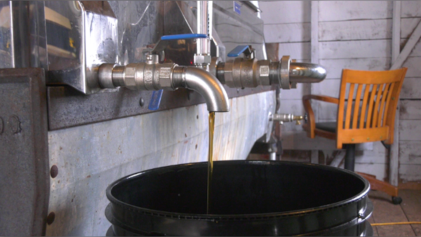 Maritime maple syrup producers concerned over production levels