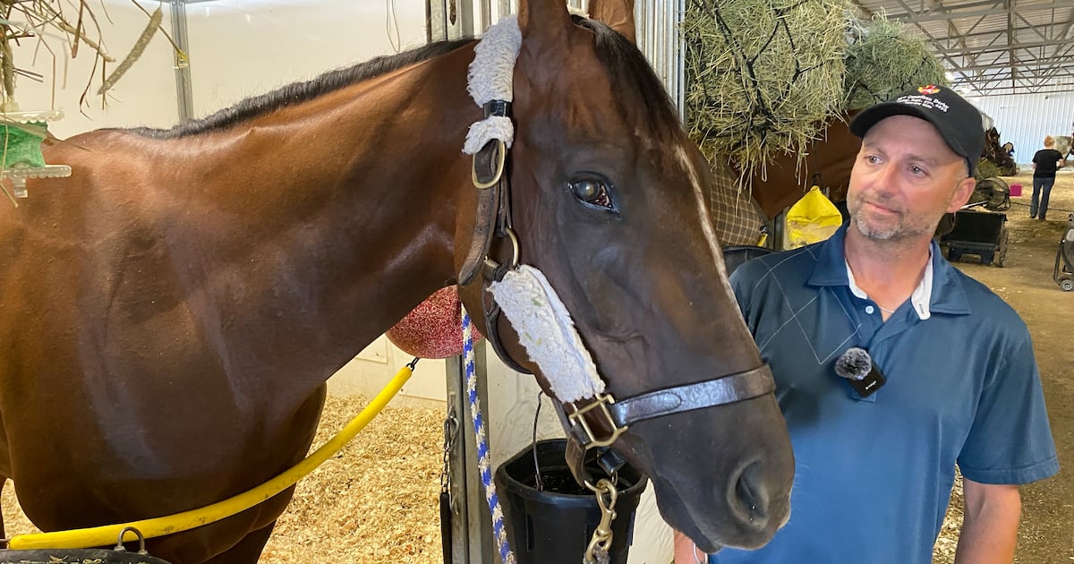 ‘He proved he can belong there': Canadian Derby race horse is blind in one eye