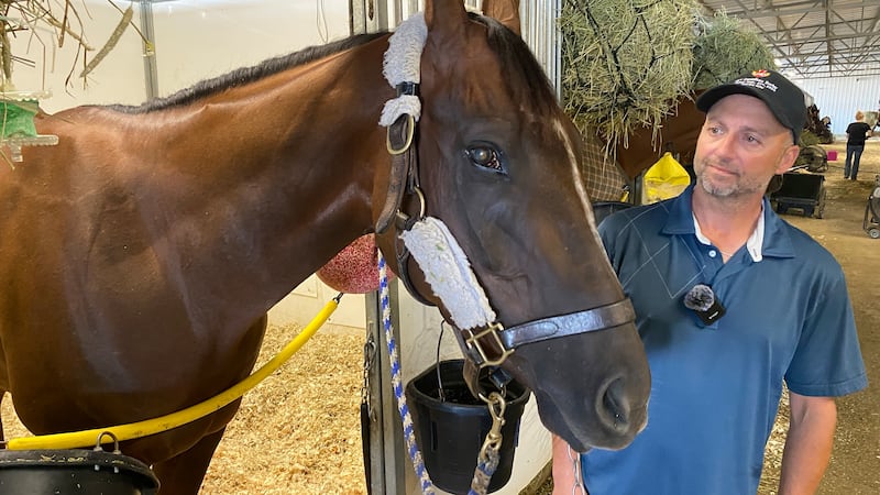‘He proved he can belong there’: Canadian Derby race horse is blind in one eye