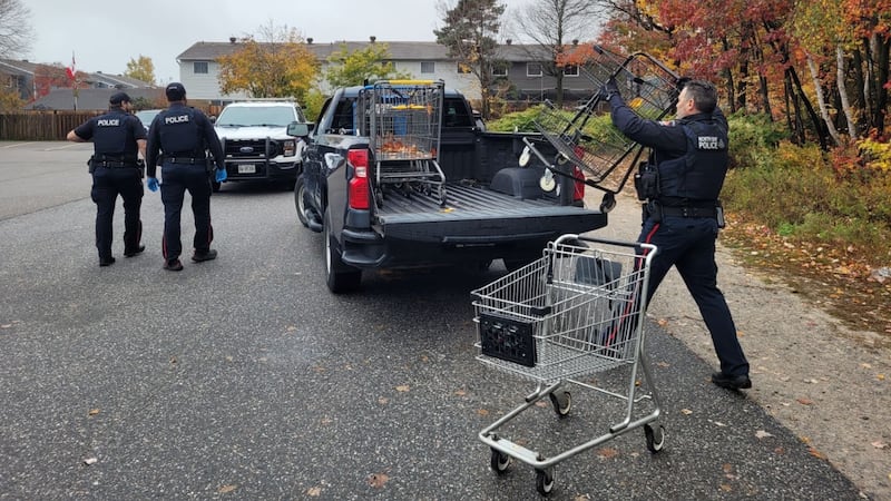 Operation Cart-nundrum targets shopping cart theft