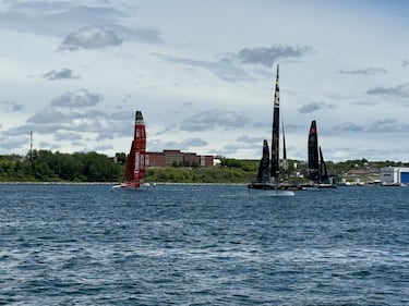 SailGP boats are pictured in the Halifax Harbour on June 21, 2026. (Callum Smith/CTV News)