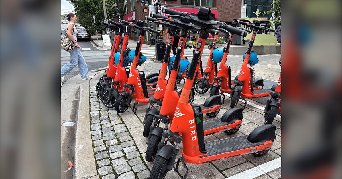 Halifax police remind e-scooter riders to know the rules of the road