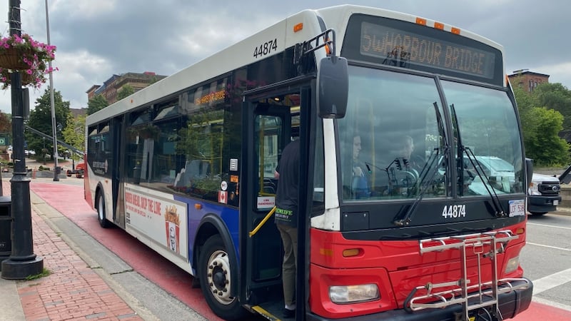 Three New Brunswick cities offer free transit on ‘Clean Air Day’