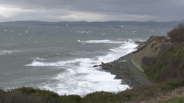 Strong winds in store for B.C. coast
