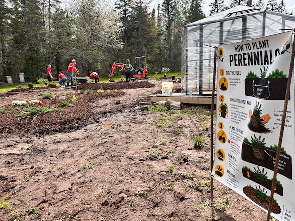 Farm in Windsor, N.S., aims to help female veterans transition out of the forces