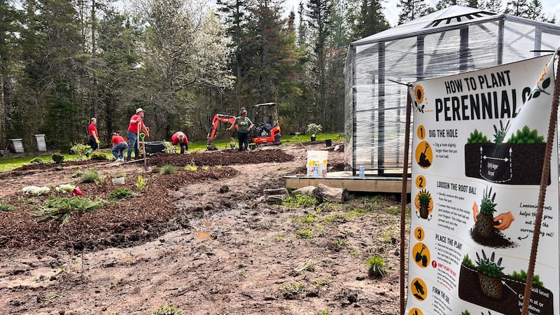 Farm in Windsor, N.S., aims to help female veterans transition out of the forces