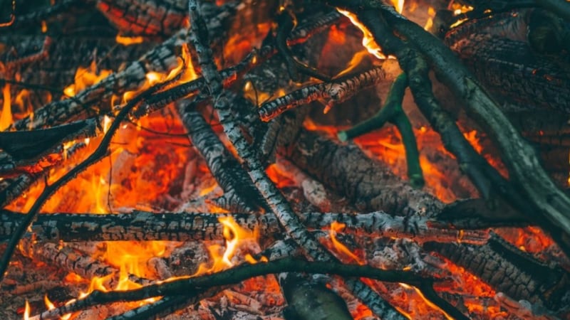 560 wildfires in B.C. since 2016 have been considered ‘arson or suspicious’