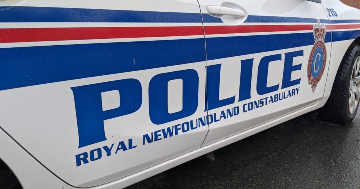 Newfoundland man electrocuted by downed power line, two women injured