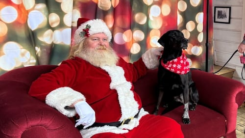 A black dog wearing a red bandana sits on a red couch next to Santa Claus.