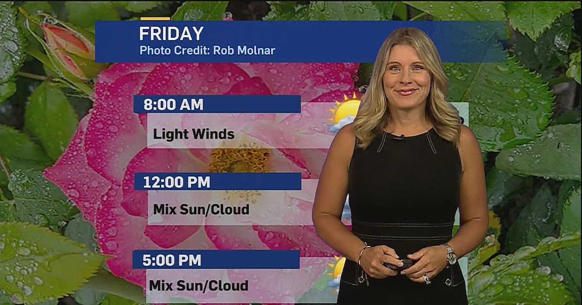 Sunshine to start weekend, rain returns Sunday