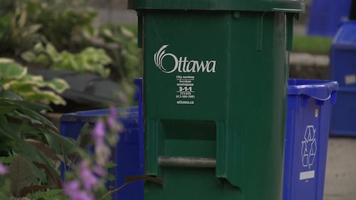 Ottawa exploring options to process green bin waste in the future