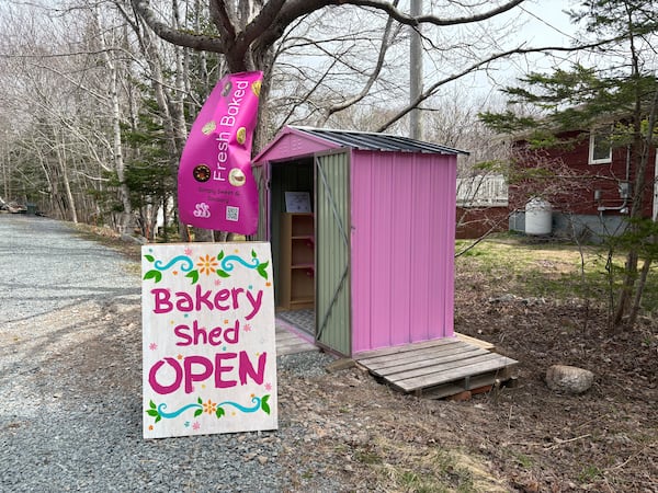Simply Sweet: Mother-daughter duo opens pink bakery shed in Brookside, N.S.