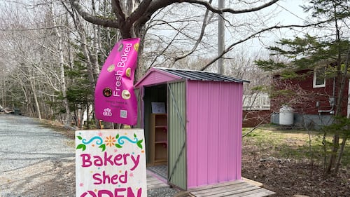 Simply Sweet: Mother-daughter duo opens pink bakery shed in Brookside, N.S.