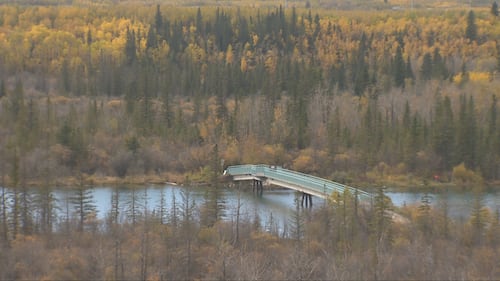 Fall colours in Calgary, as seen on Oct. 2, 2026