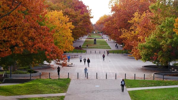Here’s why B.C.’s fall foliage might seem less radiant this year