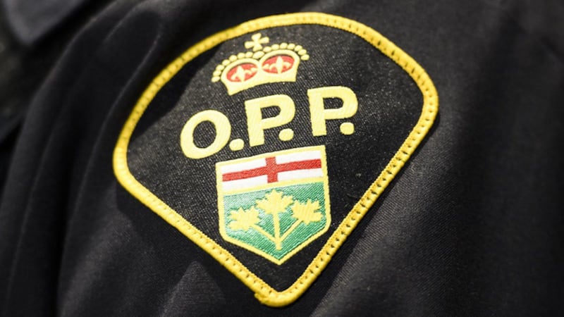 Police search for missing youth who left Muskoka for GTA