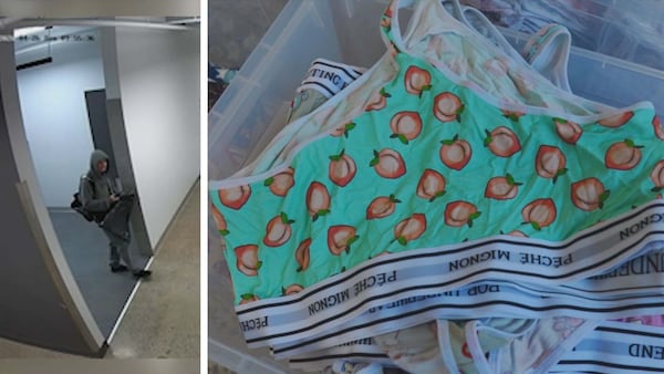 Suspect caught on camera stealing thousands of dollars worth of underwear from Montreal warehouse