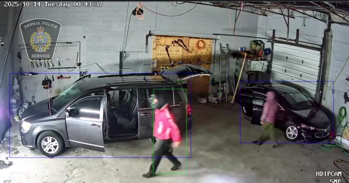 Sarnia theft suspects wanted