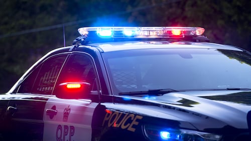 Prohibited driver faces charges after fleeing OPP in Serpent River First Nation