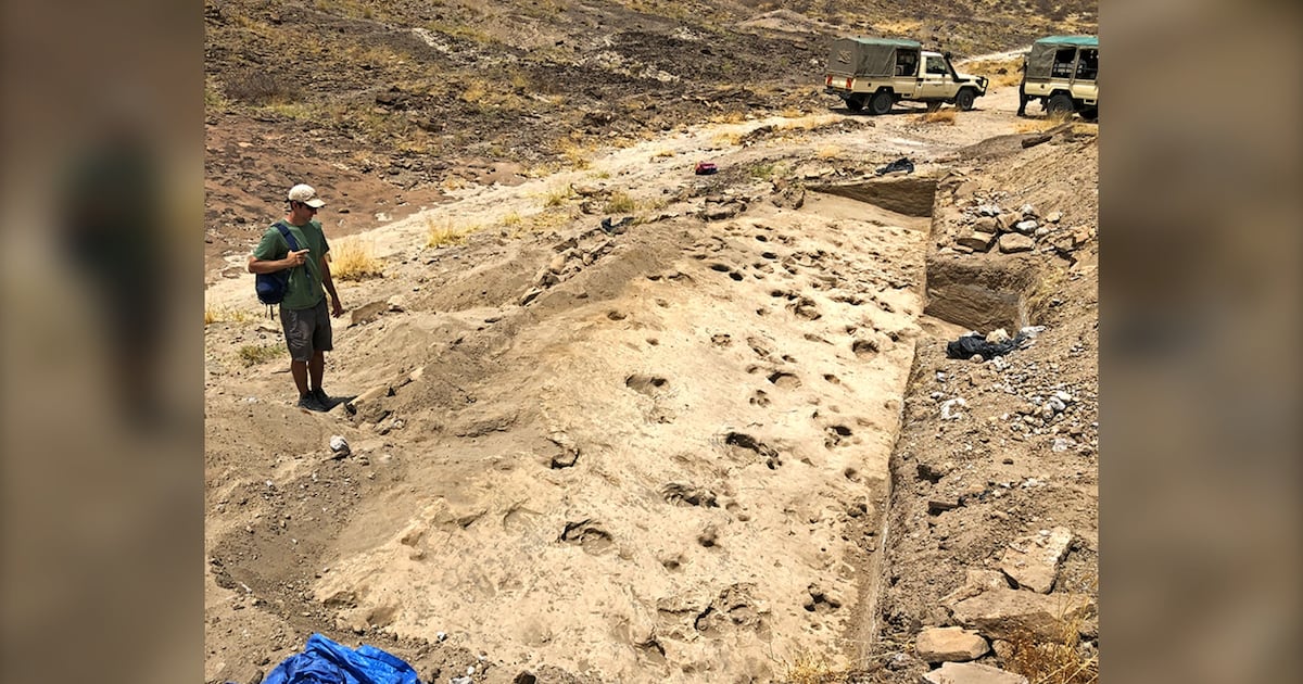 Photo: CTV News Overview of the excavated track surface with a mix of deeper hippopotamus and antelope footprints and shallower hominin