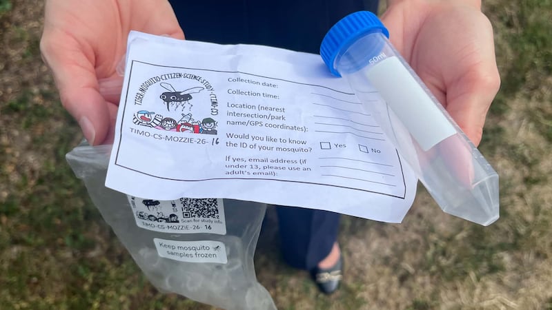 UWindsor asks residents to help track invasive tiger mosquito