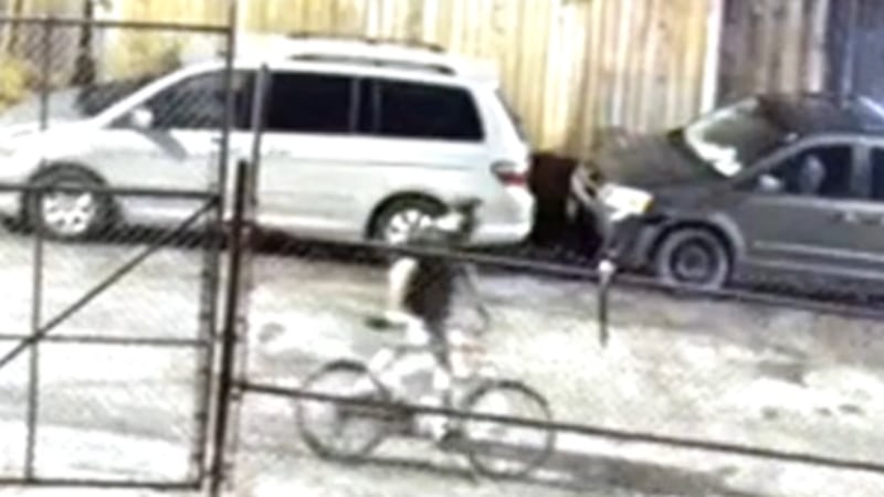 Arson suspect sought at Walkerville business