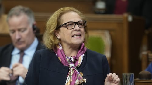 Immigration Department looking into termination of refugee sponsor policy: Diab