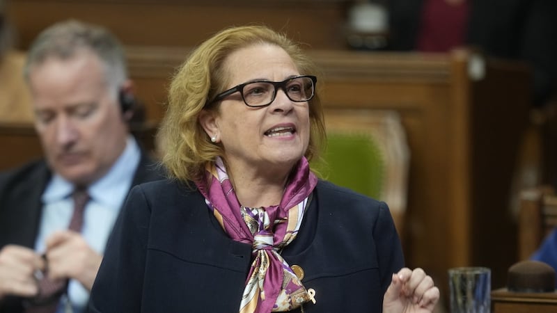 Immigration Department looking into termination of refugee sponsor policy: Diab